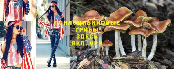 МДПВ Коряжма