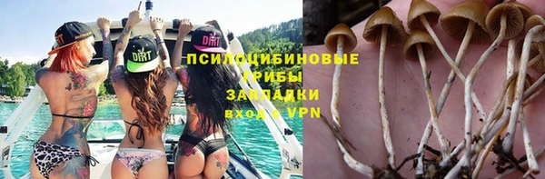 МДПВ Коряжма