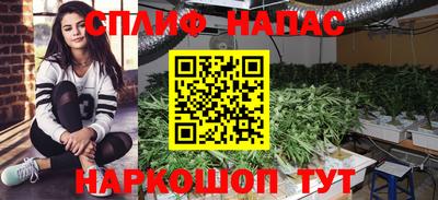 spice Балаково