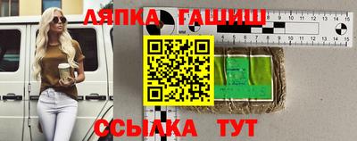 твердый Гатчина