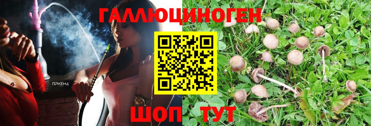 Псилоцибиновые грибы мицелий  Вход с VPN  Северск 