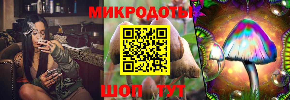 Псилоцибиновые грибы прущие грибы Северск